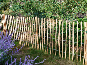 Bois d'extérieur - Ganivelles et pieux Noisetier